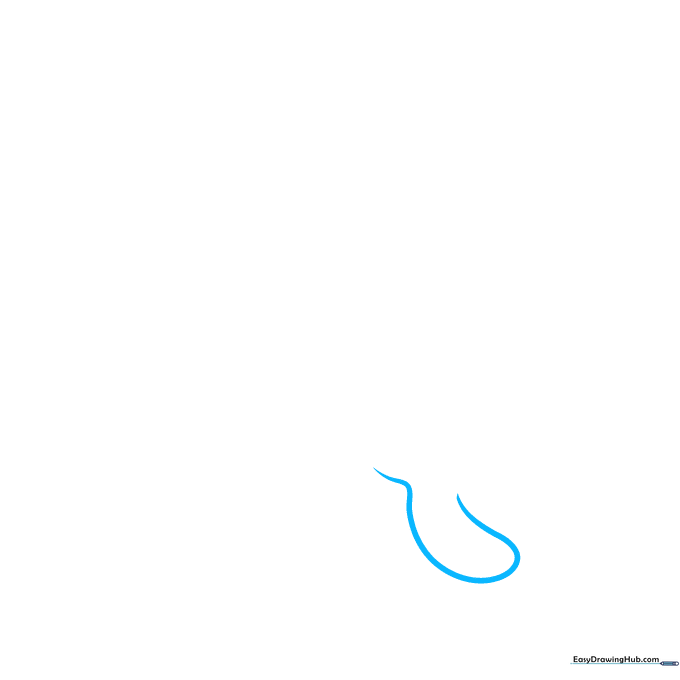Line drawing of a single manta ray cephalic fin showing a curved, horn-like shape.