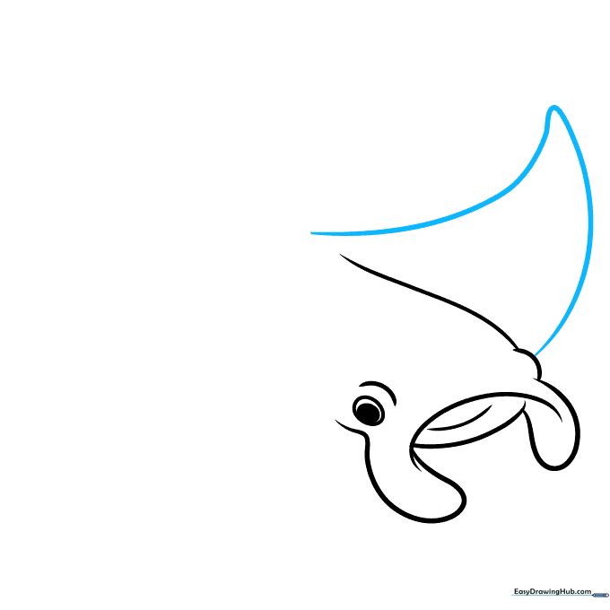 Adding the large, triangular pectoral fin to the side of the manta ray's body.