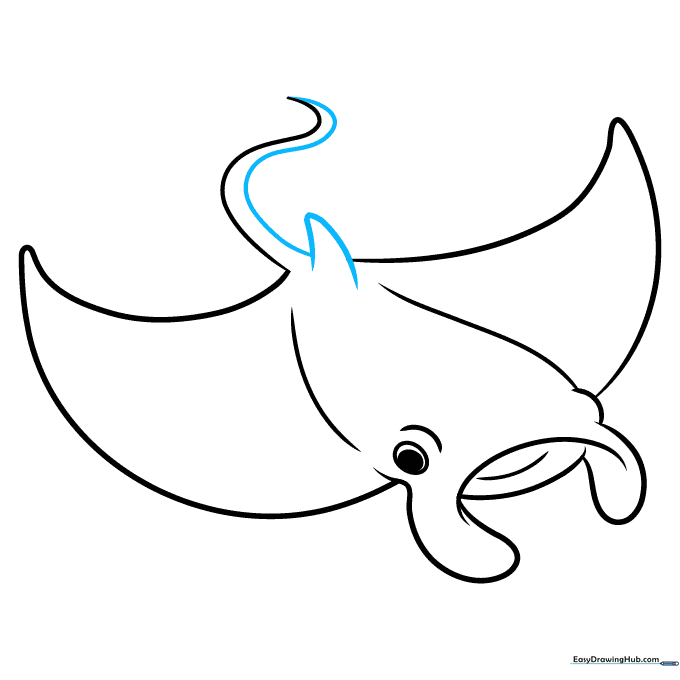 Finalizing the manta ray drawing with a dorsal fin and completed tail.