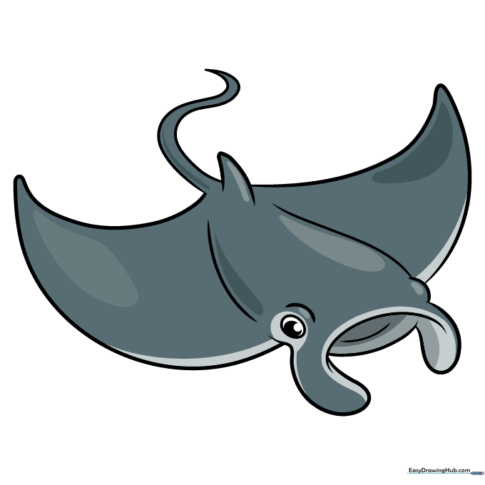 Finished, colored manta ray drawing with gray shading and a light belly.