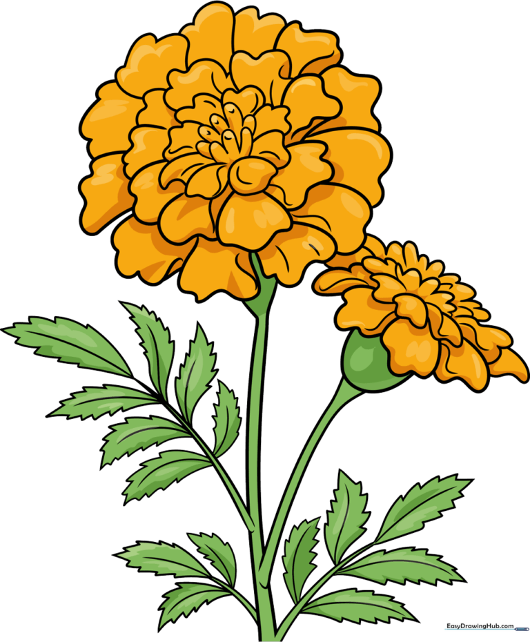Finished, colorful marigold flower drawing displayed as a featured art project.
