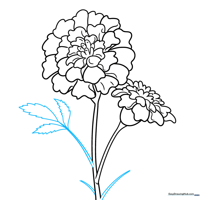 Adding serrated, jagged-edged leaves to the marigold stems.