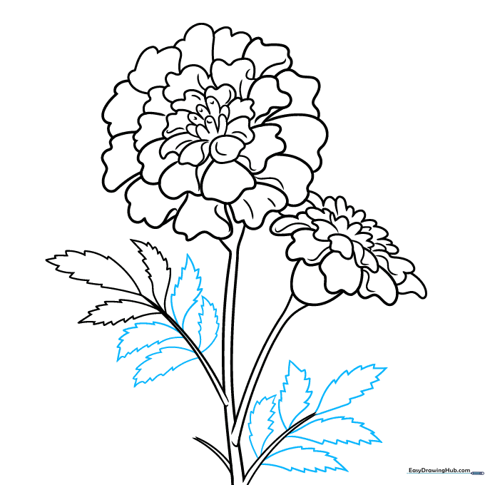 Adding additional foliage and leaves to the main plant stem.