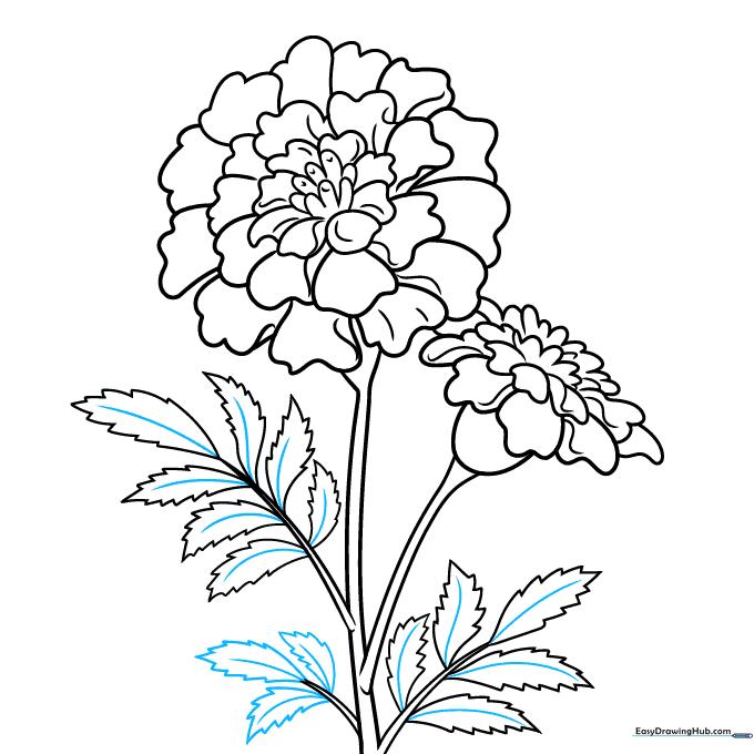 Adding central vein details to the marigold leaves for a finished look.