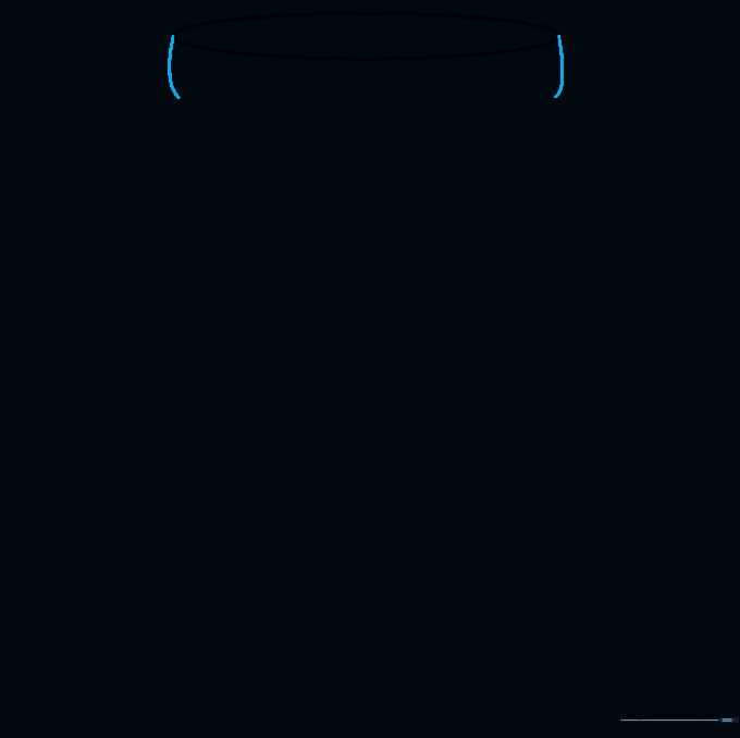 Two short vertical lines extending down from the sides of the oval lid top.
