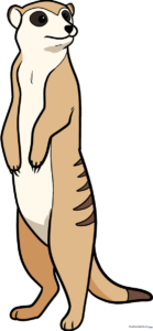 A vibrant, finished drawing of a cartoon meerkat, showcasing the final result of the tutorial.