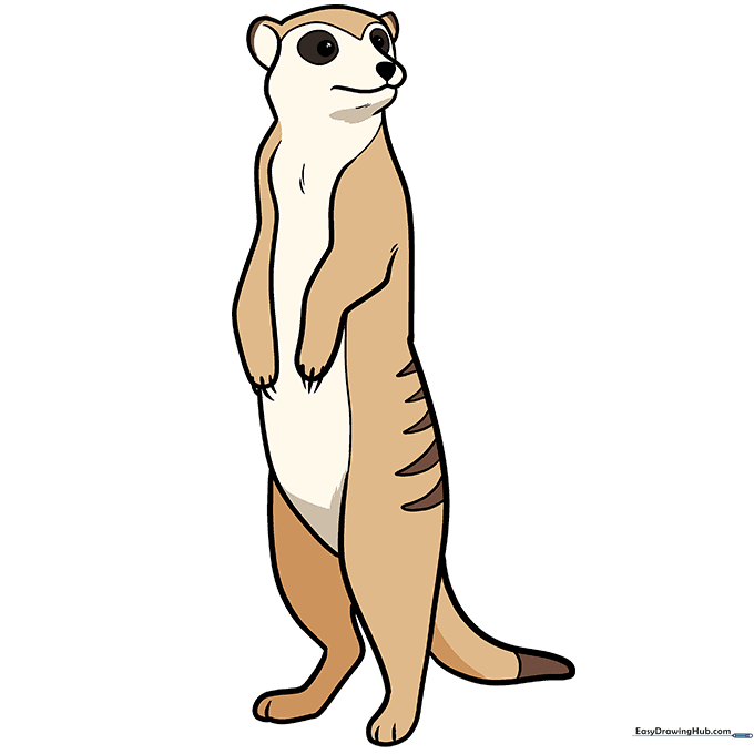 A fully colored, cute cartoon meerkat with tan fur and brown markings.