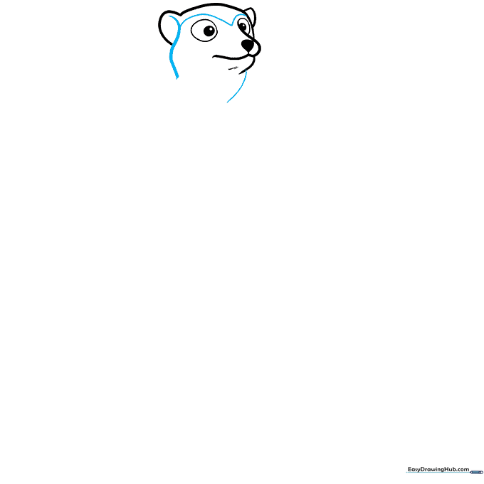 Drawing the neck and the characteristic V-shaped facial markings of a meerkat.