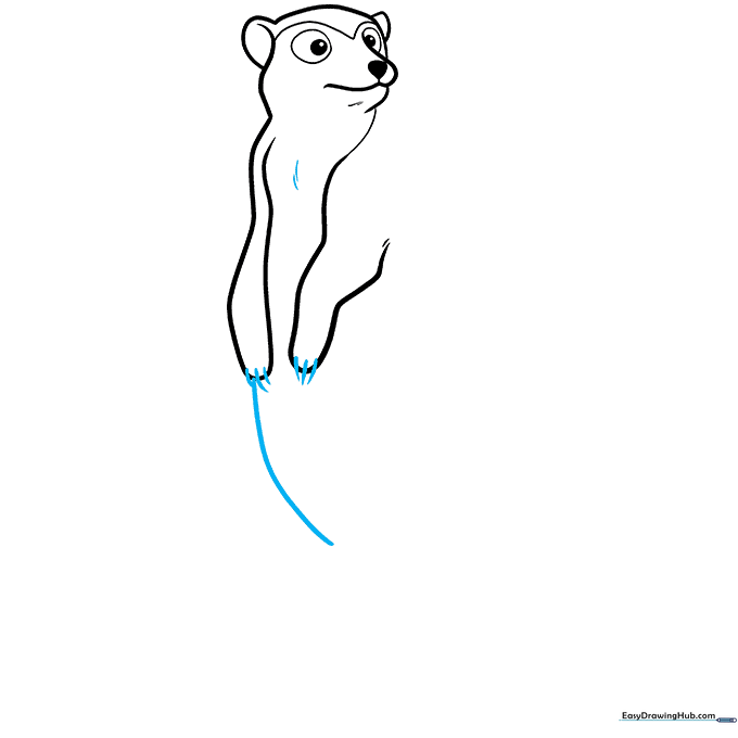 Defining the belly and adding small claw details to the meerkat's paws.