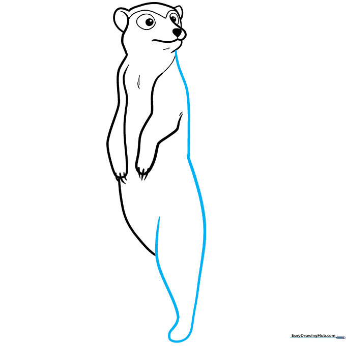 Sketching the meerkat's back and the first rear leg.