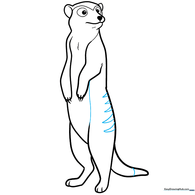 Adding final details like back stripes and tail markings to complete the meerkat outline.