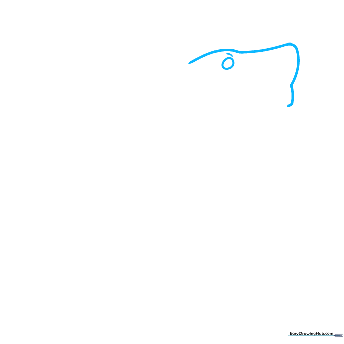 Pencil sketch showing the initial rounded triangle shape for a shark head and a simple circular eye.