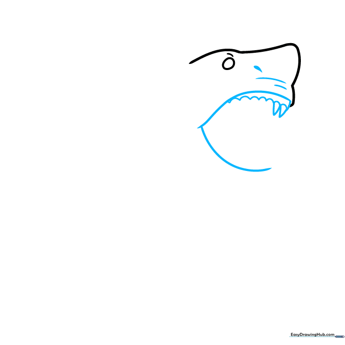Drawing the shark's open mouth with curved lines and initial triangular teeth.