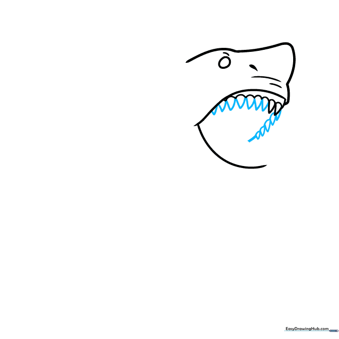 Adding multiple triangular teeth to the upper jaw of the shark.