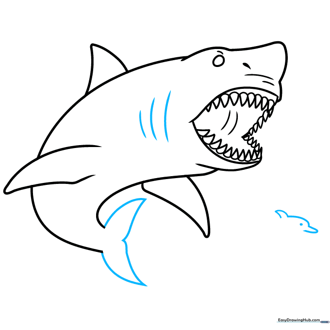 Adding the tail fin and gill slits to the shark, plus a small fish nearby.