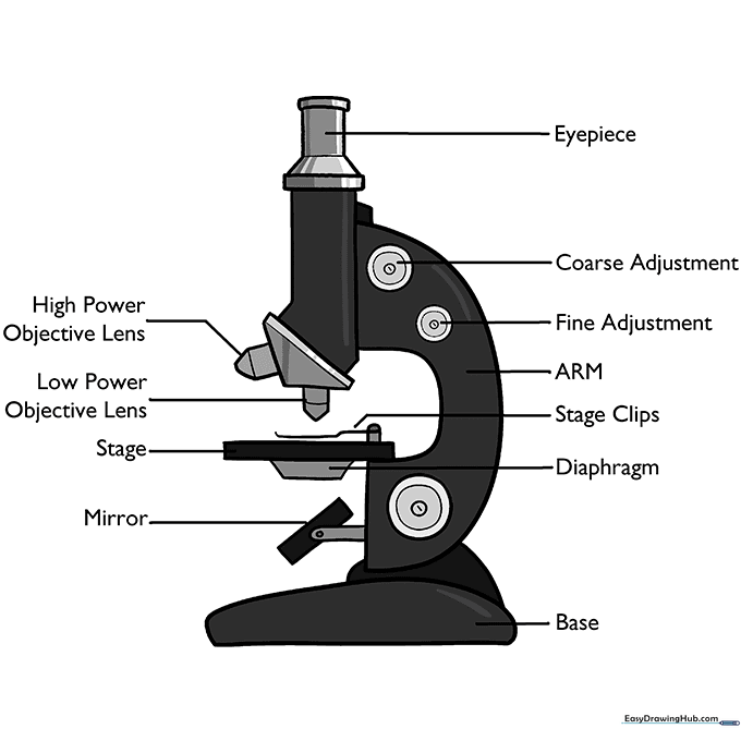 Final colored version of the microscope diagram.