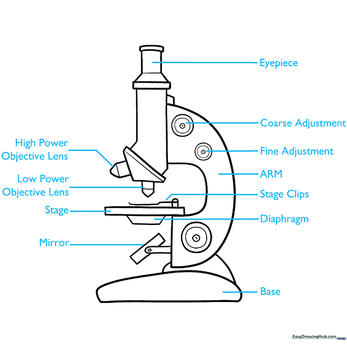 Microscope diagram with labels pointing to the various parts.