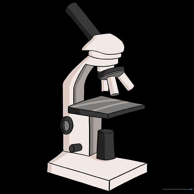 The finished, colored microscope drawing.