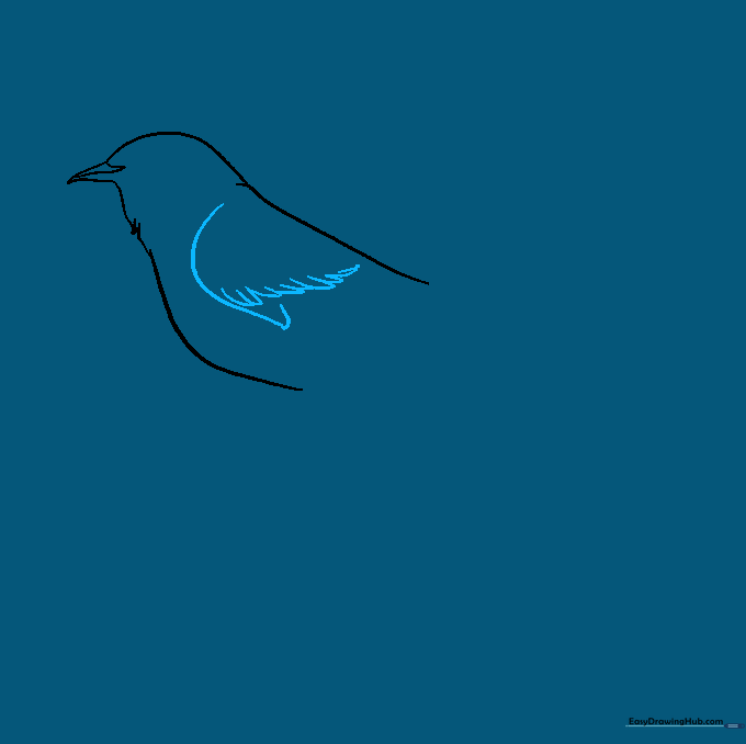 Drawing the upper wing section with U-shaped feather details.