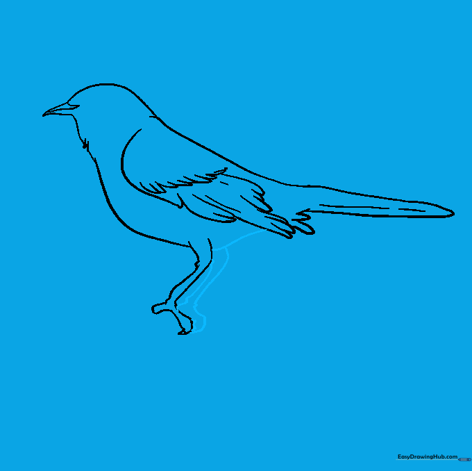 Refining the body outline and adding the second leg.