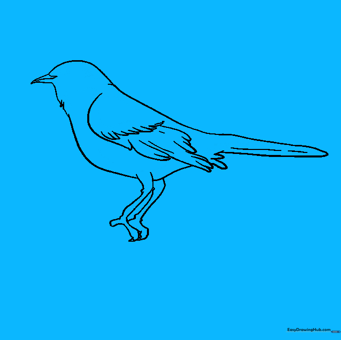 Adding the eye and feather texture details to the bird.