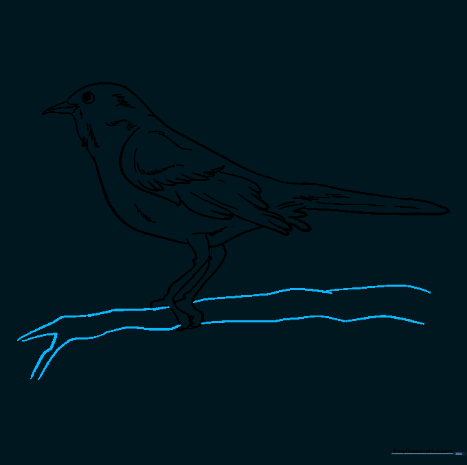 Drawing a branch for the bird to perch on.