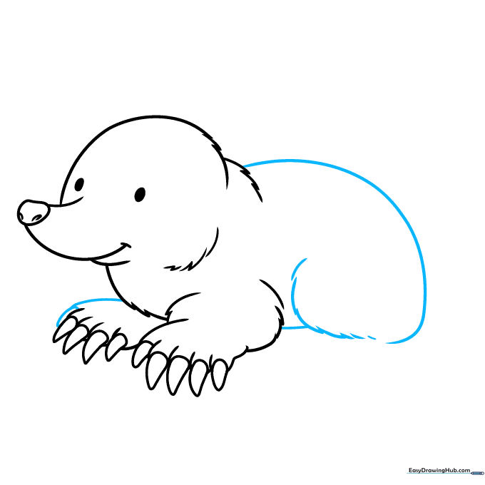 Drawing the mole's back and hip area using a mix of smooth and jagged lines.