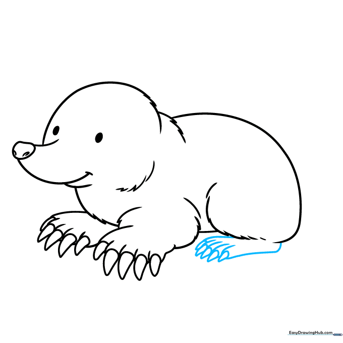 Adding the smaller rear foot of the mole with detailed toes and claws.