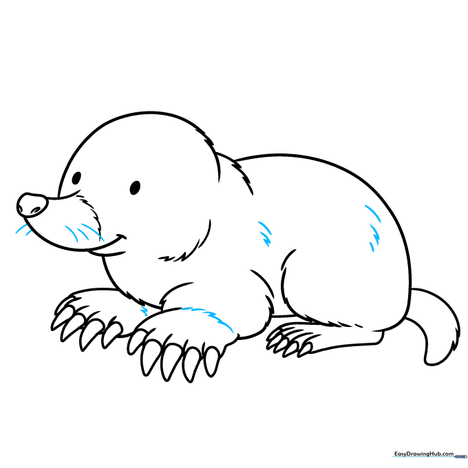 Adding final fur texture and whiskers to the mole drawing.