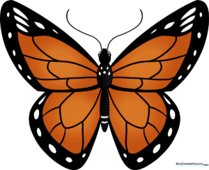 A colorful, finished illustration of a Monarch butterfly resting on a leaf, showcasing the final result of the tutorial.