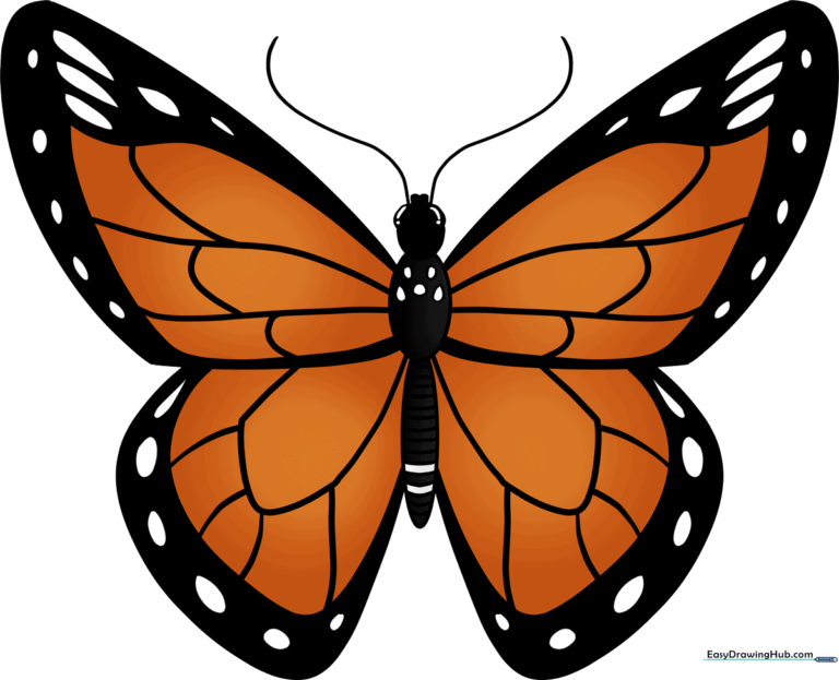 A colorful, finished illustration of a Monarch butterfly resting on a leaf, showcasing the final result of the tutorial.