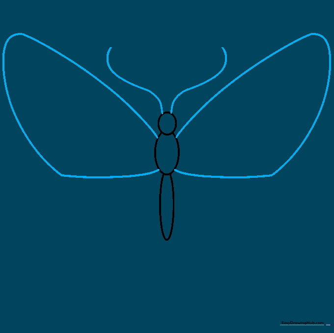 Outline of a butterfly body with two long antennae and large, curved wing shapes extending from the center.