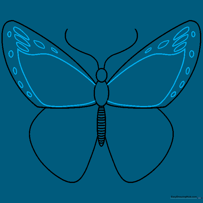 Forewings detailed with internal curved lines and small teardrop shapes near the wing tips.