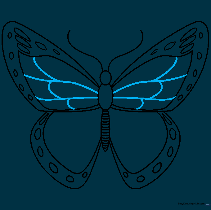 Detailed wing veins added to the forewings using curved lines extending from the center.