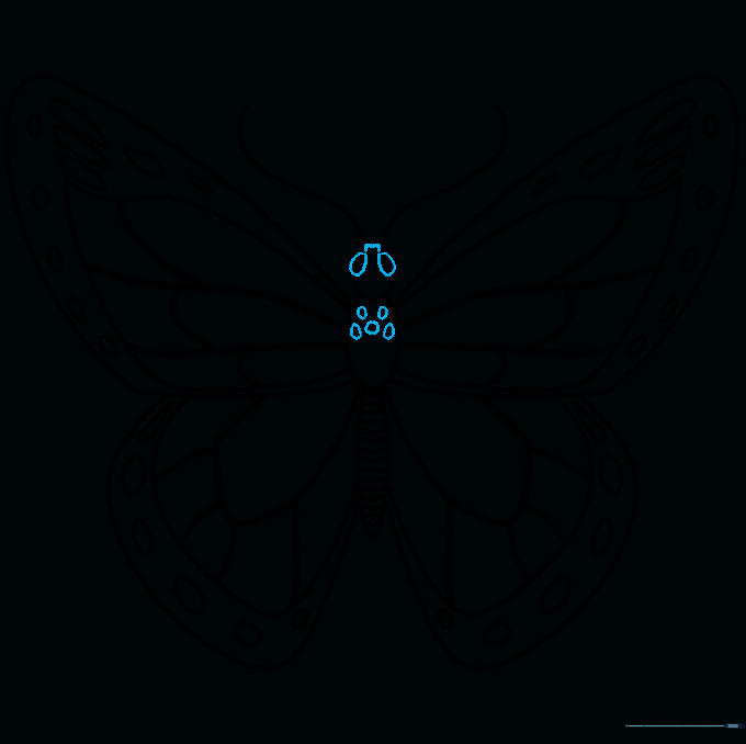 Final details added to the head, including eyes and a proboscis, completing the butterfly outline.