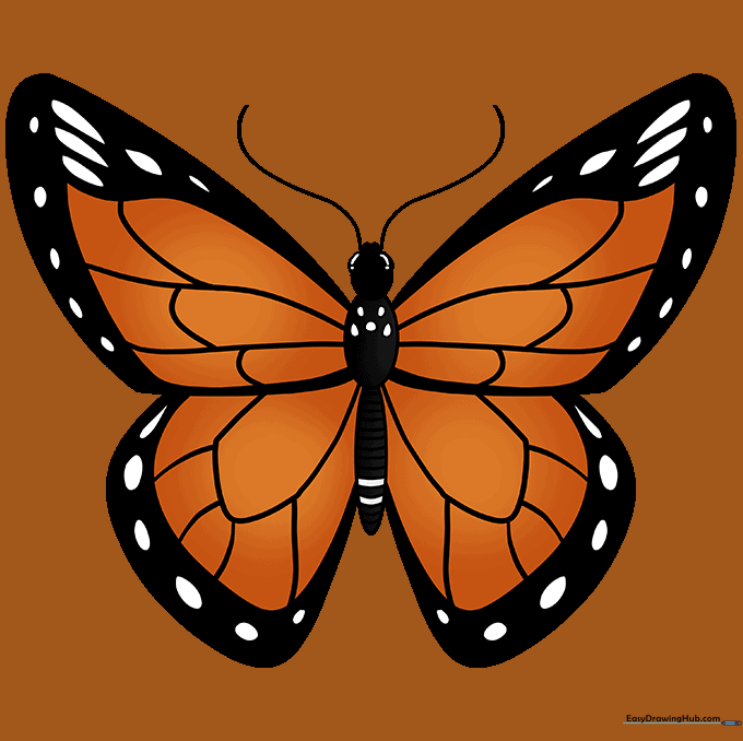 The finished Monarch butterfly drawing, colored with bright orange, black, and white accents.