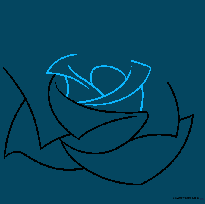 Drawing curled petal tips to add depth and texture to the rose structure.
