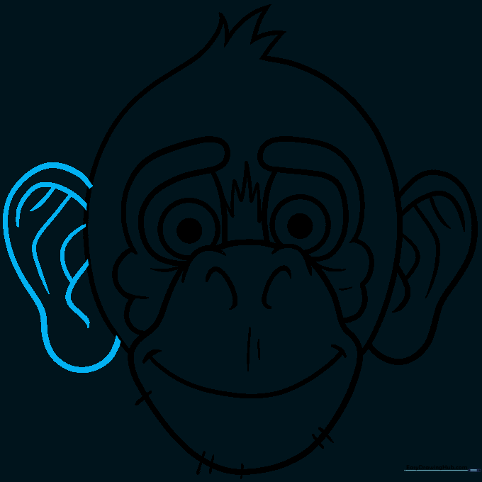 The completed pencil sketch of the monkey face, ready for final inking.