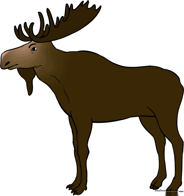 A completed, colorful illustration of a majestic moose standing in a forest.