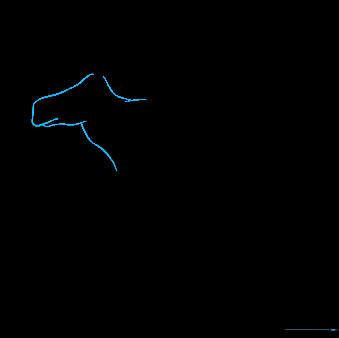 Drawing the moose neck and a rectangular snout extending from the head circle.