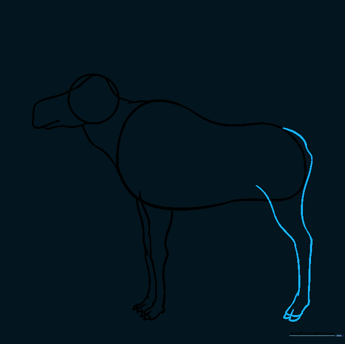 Drawing the rear leg of the moose with a visible knee joint.