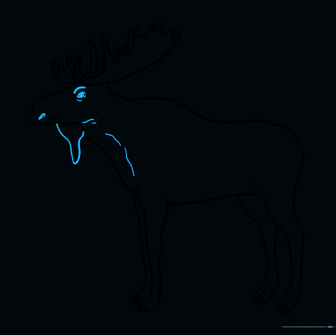 Finalizing the moose face with an eye, nostril, and chin beard.