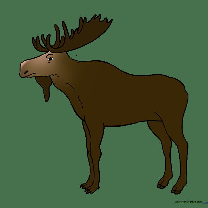 The finished, colored moose drawing with brown fur tones.