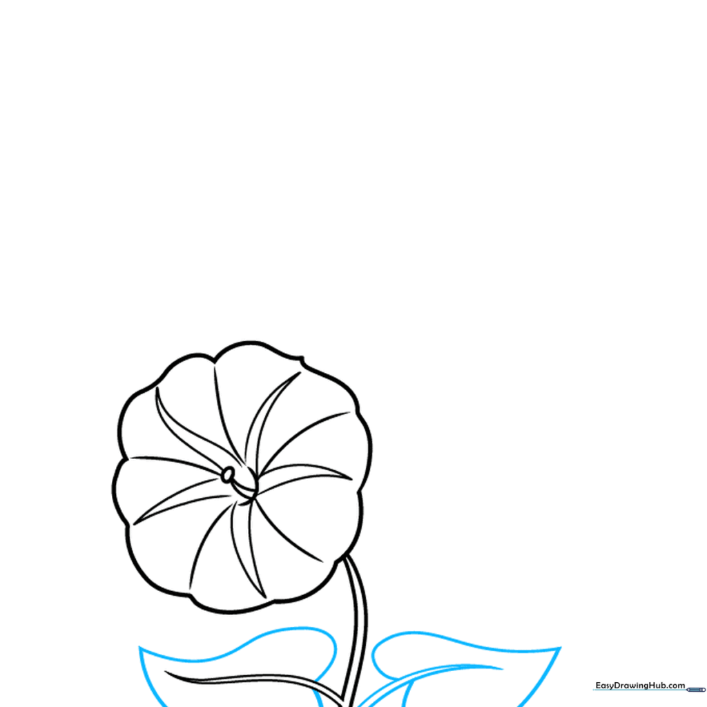 Drawing showing the addition of heart-shaped leaves attached to the morning glory stem.