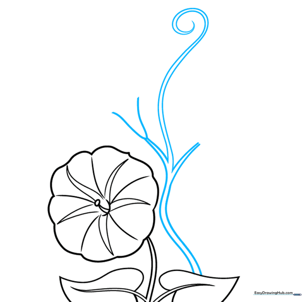 Sketch of a long, winding vine with a spiraling tendril at the top.