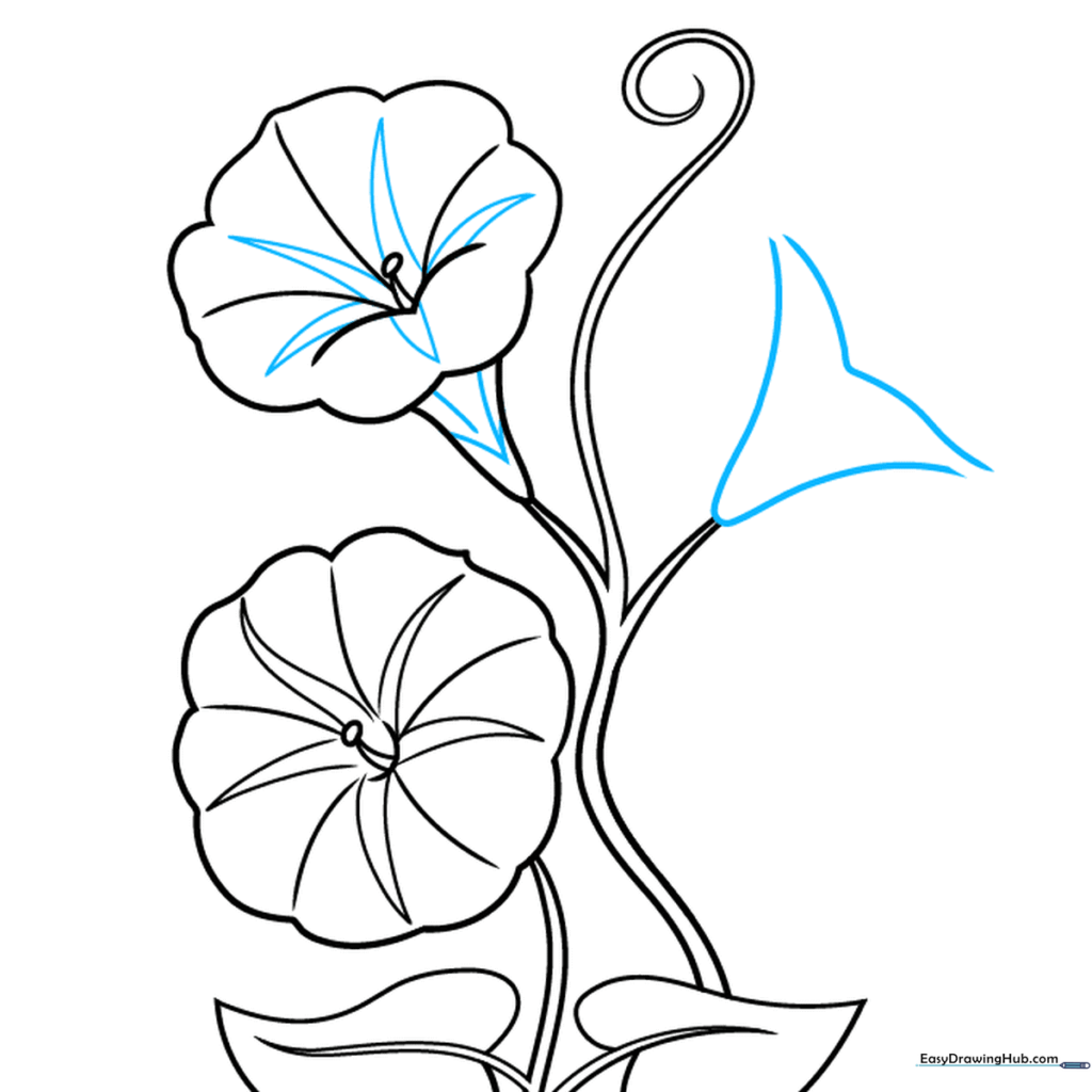 Detailing the petals and sepals of the second flower and starting a third.