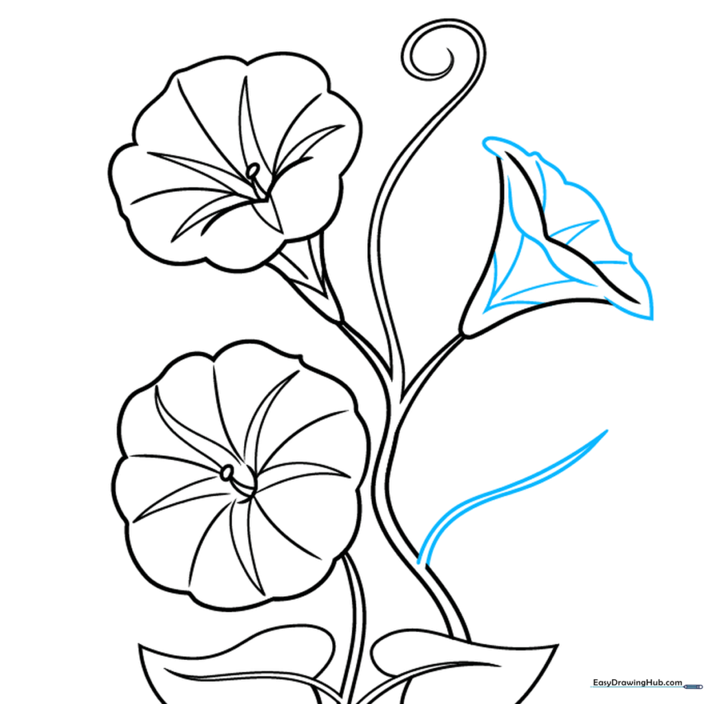 Refining the edges and petal details of the third morning glory blossom.