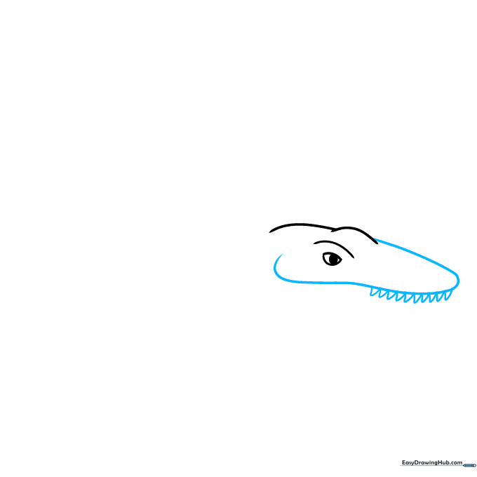 Drawing the upper jaw of the Mosasaurus with sharp, triangular teeth.