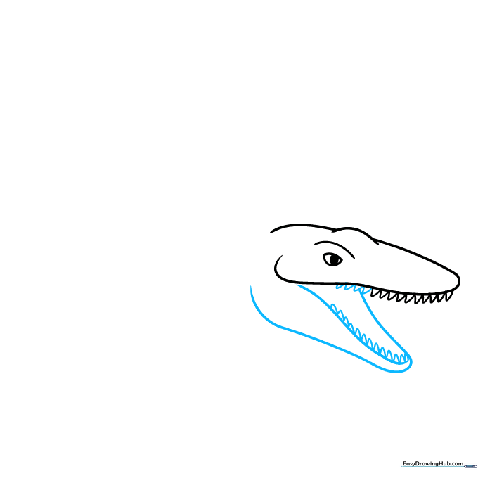Adding the lower jaw and bottom teeth to the Mosasaurus sketch.
