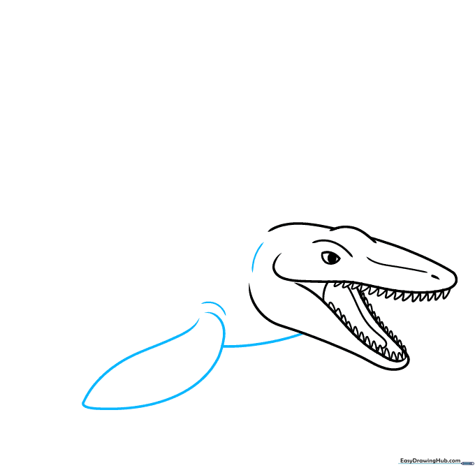Drawing the neck and the first large front flipper of the Mosasaurus.